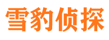 廊坊捉小三公司